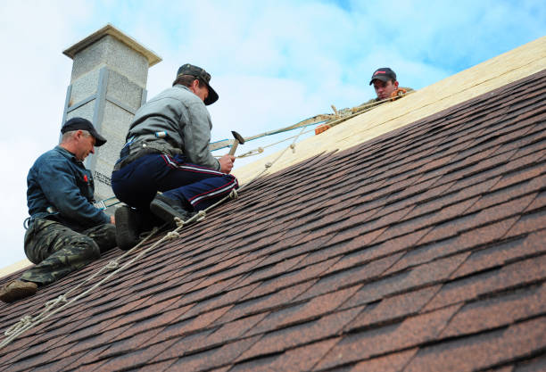 Best Roof Maintenance Services  in Pleasant Hill, PA